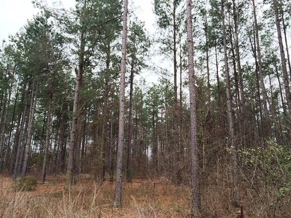 1807 Cokesbury Rd , Greenwood , SC 29648
